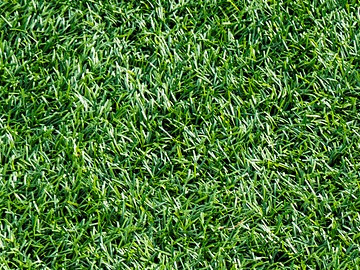 turfing experts Basingstoke